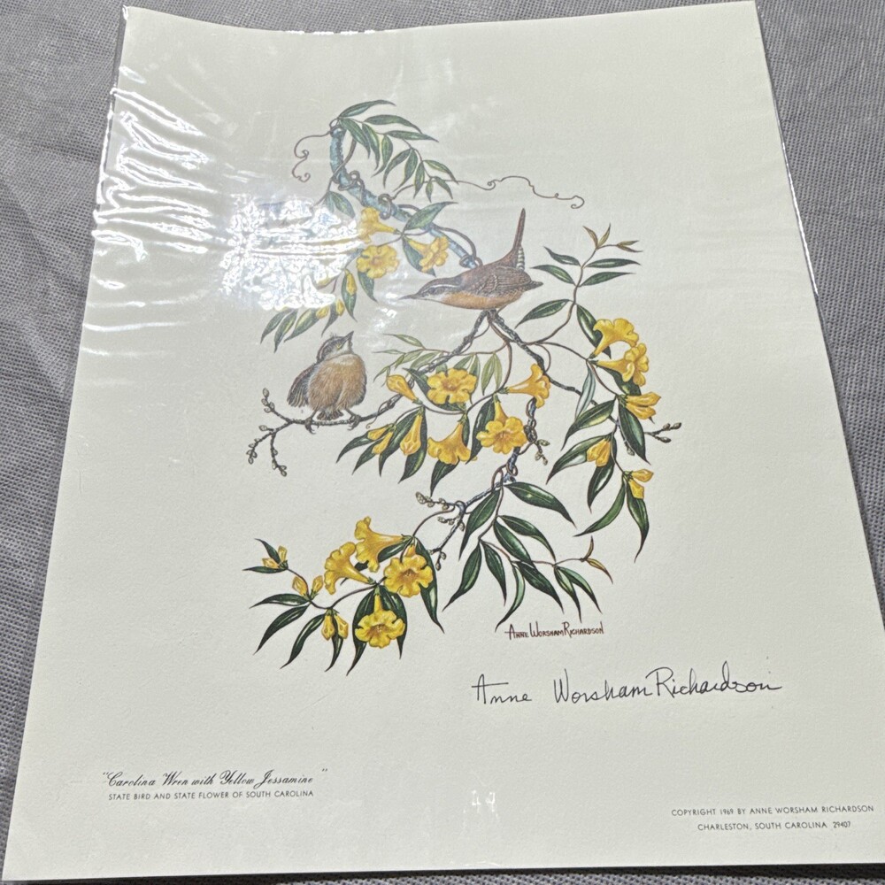 Anne Worsham Richardson Signed 1969 Print Carolina Wren Yellow Jessamine
